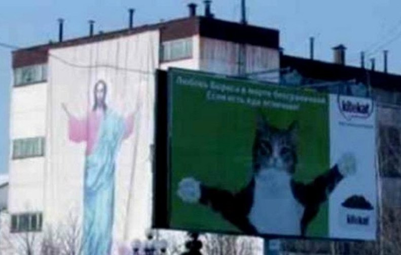 les chats sont des petits anges