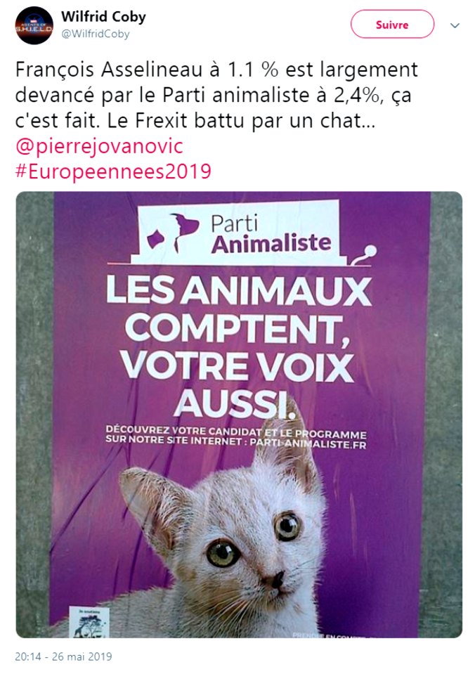 asselineau ecrase par un chat en 2019